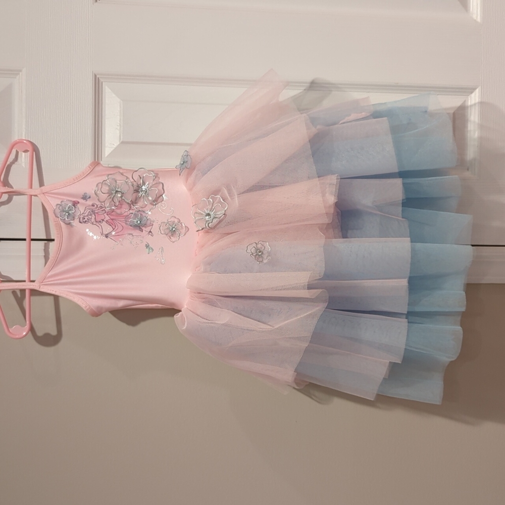 Disney princess Aurora dress